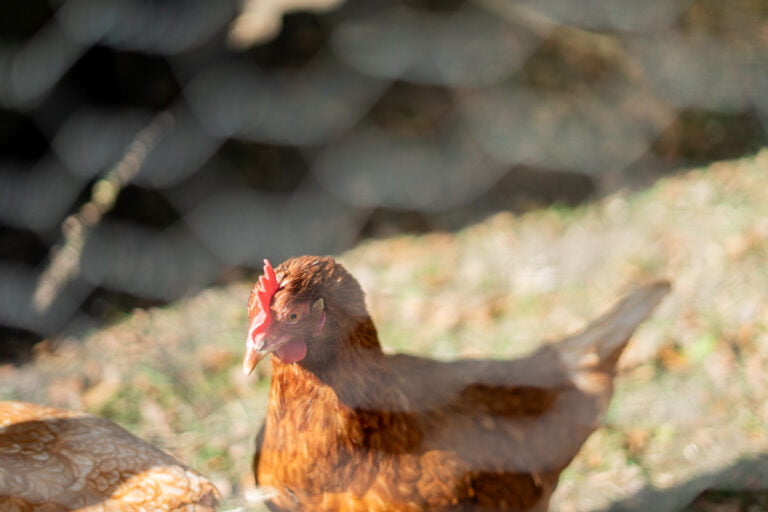 vergaderen in de wei sfeerbeelden-28